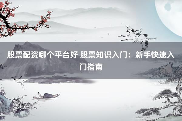 股票配资哪个平台好 股票知识入门：新手快速入门指南