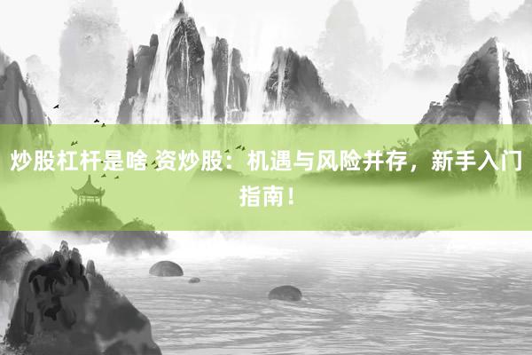炒股杠杆是啥 资炒股：机遇与风险并存，新手入门指南！