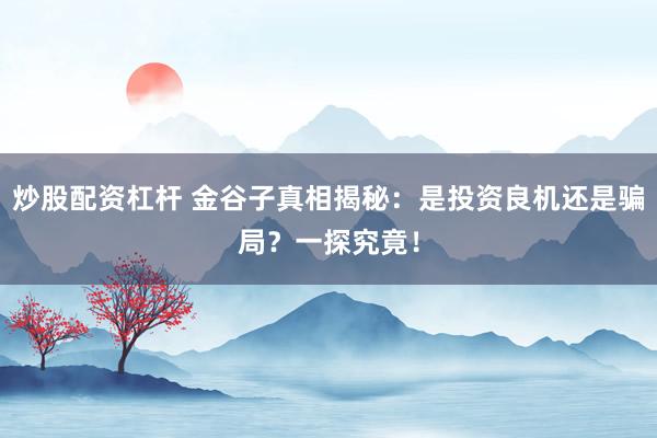 炒股配资杠杆 金谷子真相揭秘：是投资良机还是骗局？一探究竟！