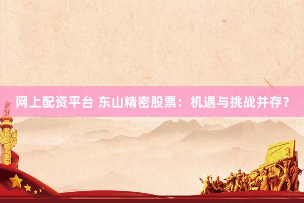 网上配资平台 东山精密股票：机遇与挑战并存？