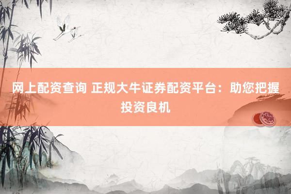 网上配资查询 正规大牛证券配资平台：助您把握投资良机