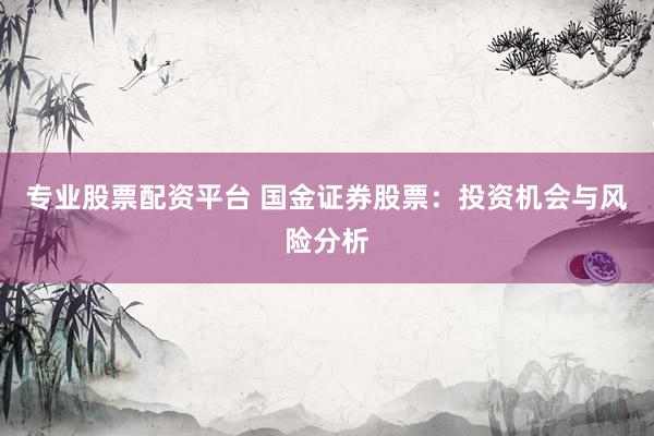 专业股票配资平台 国金证券股票：投资机会与风险分析