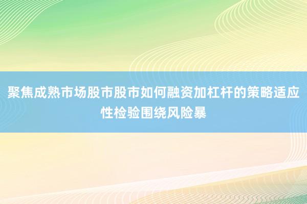 聚焦成熟市场股市股市如何融资加杠杆的策略适应性检验围绕风险暴