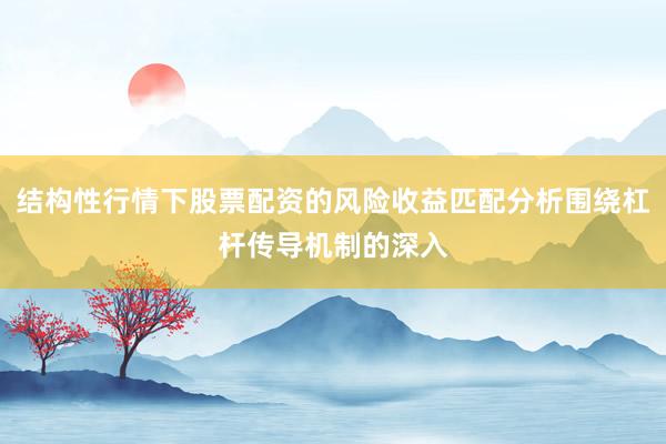 结构性行情下股票配资的风险收益匹配分析围绕杠杆传导机制的深入