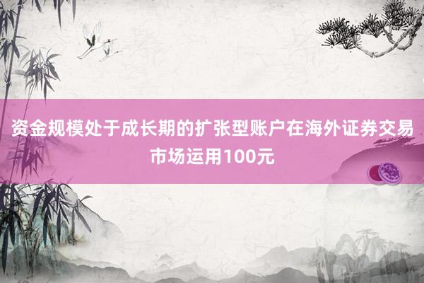 资金规模处于成长期的扩张型账户在海外证券交易市场运用100元