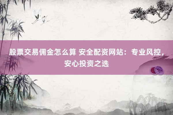 股票交易佣金怎么算 安全配资网站：专业风控，安心投资之选