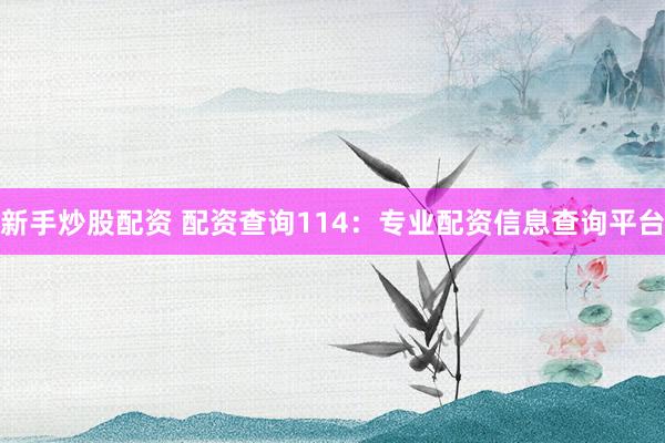 新手炒股配资 配资查询114：专业配资信息查询平台