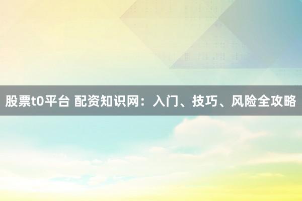 股票t0平台 配资知识网：入门、技巧、风险全攻略