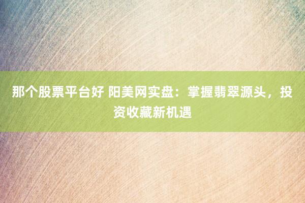 那个股票平台好 阳美网实盘：掌握翡翠源头，投资收藏新机遇