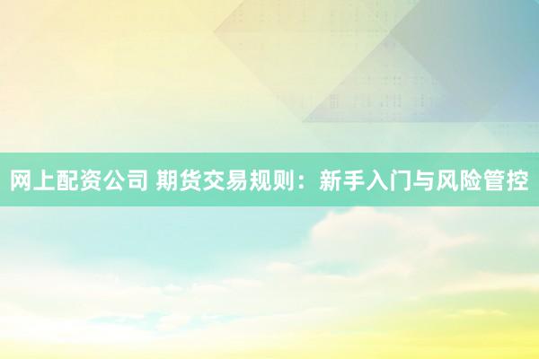 网上配资公司 期货交易规则：新手入门与风险管控