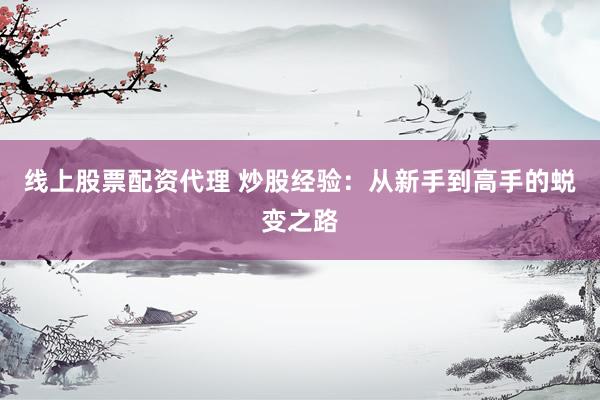线上股票配资代理 炒股经验：从新手到高手的蜕变之路