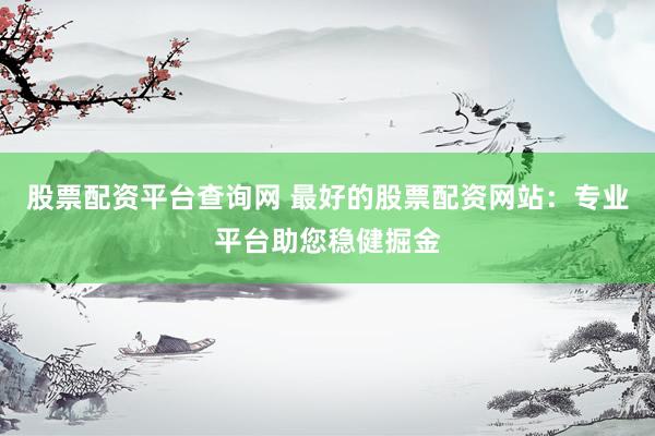 股票配资平台查询网 最好的股票配资网站：专业平台助您稳健掘金